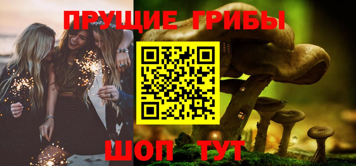 Псилоцибиновые грибы мицелий Вичуга