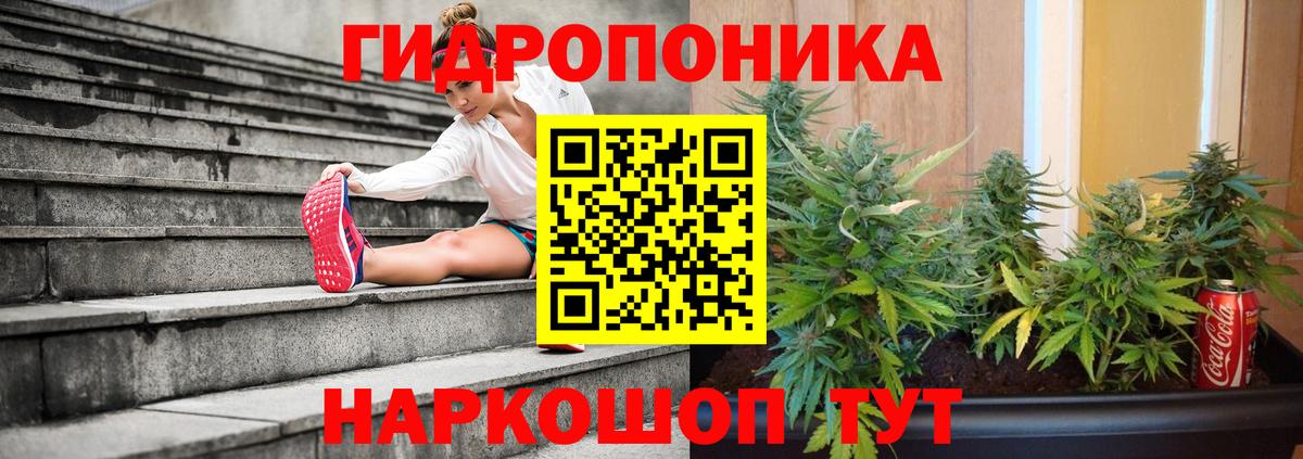 Канабис Bruce Banner Вичуга